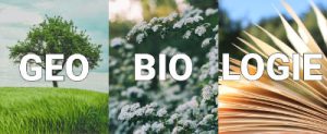 signification de la géobiologie géo=terre-bio=vie-logie=science