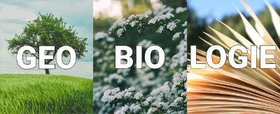 signification de la géobiologie géo=terre-bio=vie-logie=science
