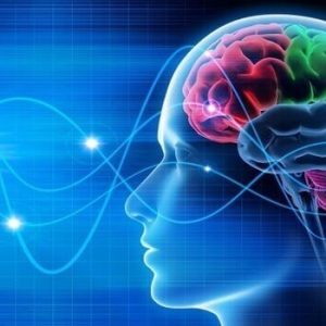 schéma d'un cerveau produisant des ondes cérébrales
