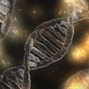 photo d'une spirale d'ADN et de ses interconnexions