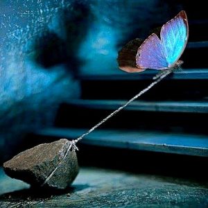 photo d'un papillon trainant une pierre attachée à ses pattes dans un escalier